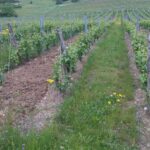 VISITES EN JURA/SAVOIE