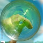AU SERVICE DU VIN No 6 (Magazine)