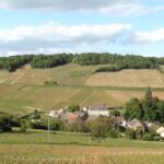 DEGUSTATION A MONTAGNY