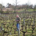 DAMIEN BRIARD, BORDEAUX