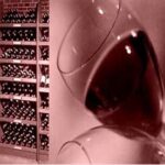 Bordeaux 2004 (5/5): Les vins de St Julien