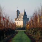 QUESTIONNAIRE: LES VINS DE LOIRE