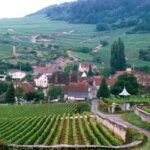 VINS DE MEURSAULT