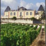 Château de France 1999: Maturité et minéralité