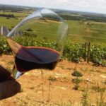 VISITES EN BOURGOGNE, ENCORE...