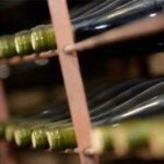 FOIRE AUX VINS: L' ENQUETE (4/5)