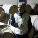 DOMAINE VESSIGAUD A POUILLY-FUISSE, 3è VISITE