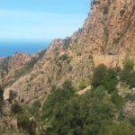 VISITE DANS LE VIGNOBLE CORSE