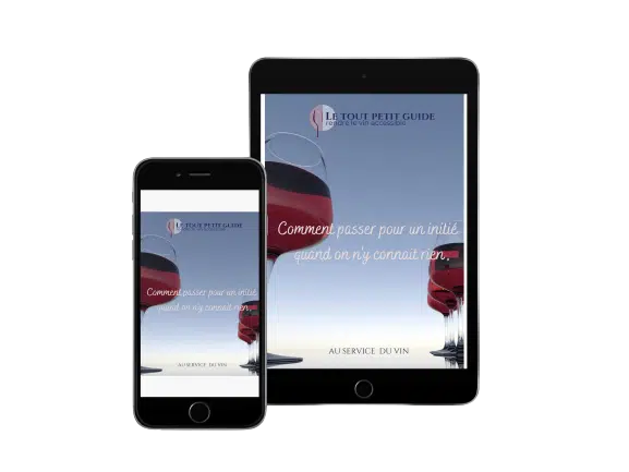 Le_tout_petit_guide-