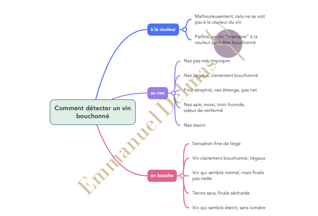 Détecter un vin bouchonné : la méthode ultime