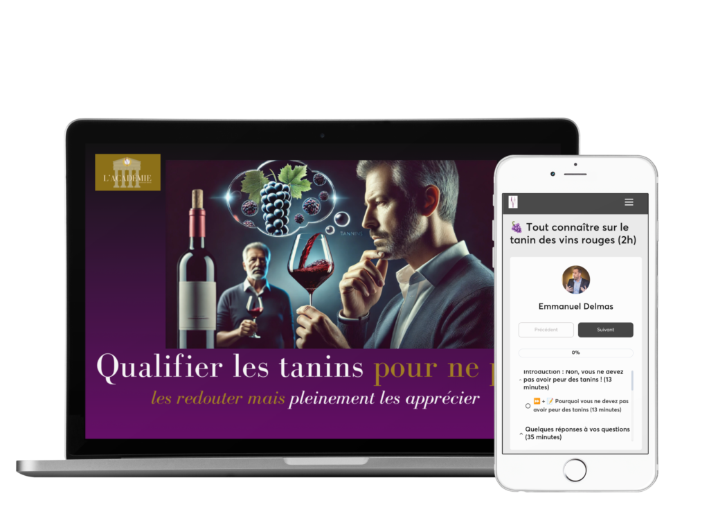 Apprendre le vin et savoir qualifier ses tanins Apprendre le vin en ligne et Maitriser l'art de qualifier les tanins des vins rouges - L'Académie d'Emmanuel Delmas