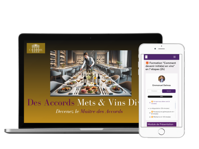 Formation vidéo "Des Accords Mets et Vins divins" complète – Image 2