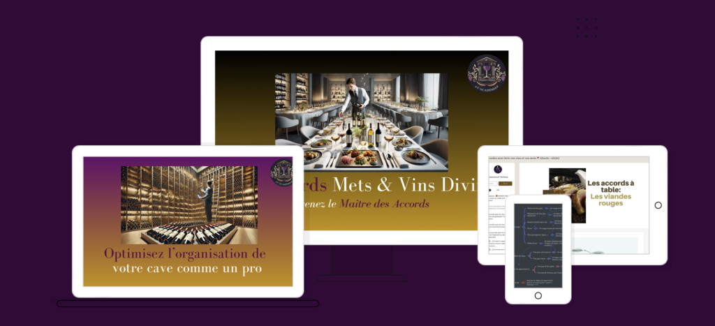 Apprendre le vin comme un pro et passer d'amateur à expert avec l'Académie™ d'Emmanuel Delmas