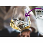 Apprendre à déguster le vin commence par l'observation du vin