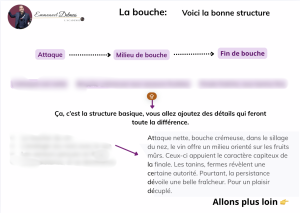 Apprendre à déguster le vin en rédigeant vos notes de dégustation grâce à l'Académie™ Emmanuel Delmas