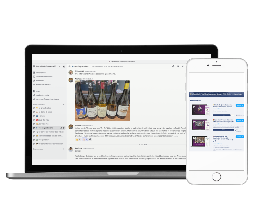 Apprendre le vin en ligne avec l'Académie™ Emmanuel Delmas n'a jamais été aussi intense et efficace.