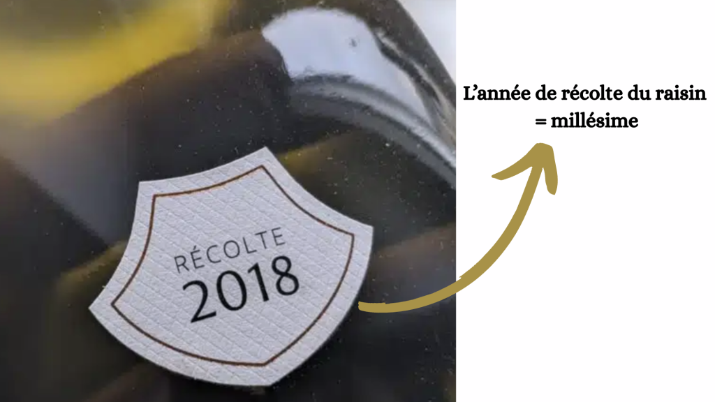 C'est quoi le millésime d'un vin : l'année de récolte du raisin