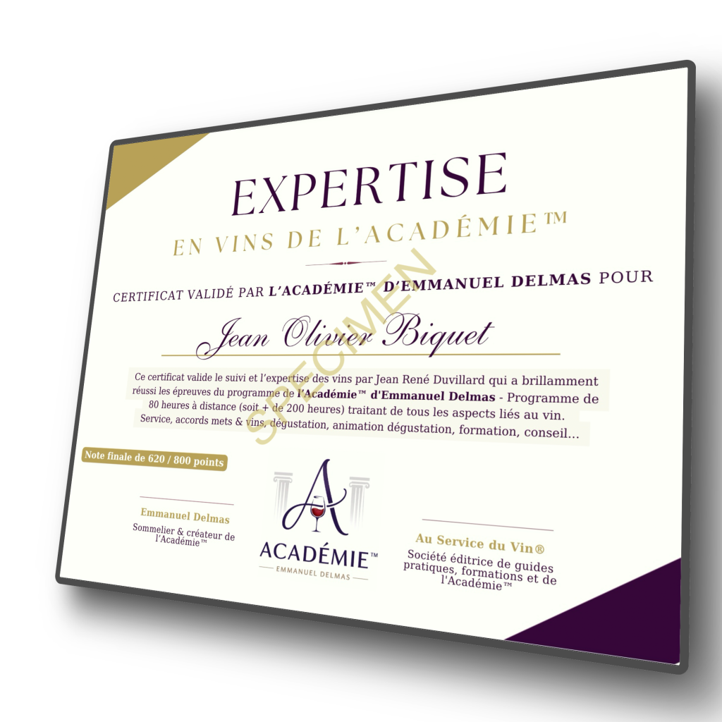 formation certifiante vin : un comparatif des formations sur le vin passe par l'exigence poussée loin
