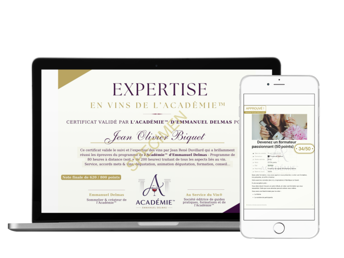 Certificat d'expertise de l'Académie™ Emmanuel Delmas